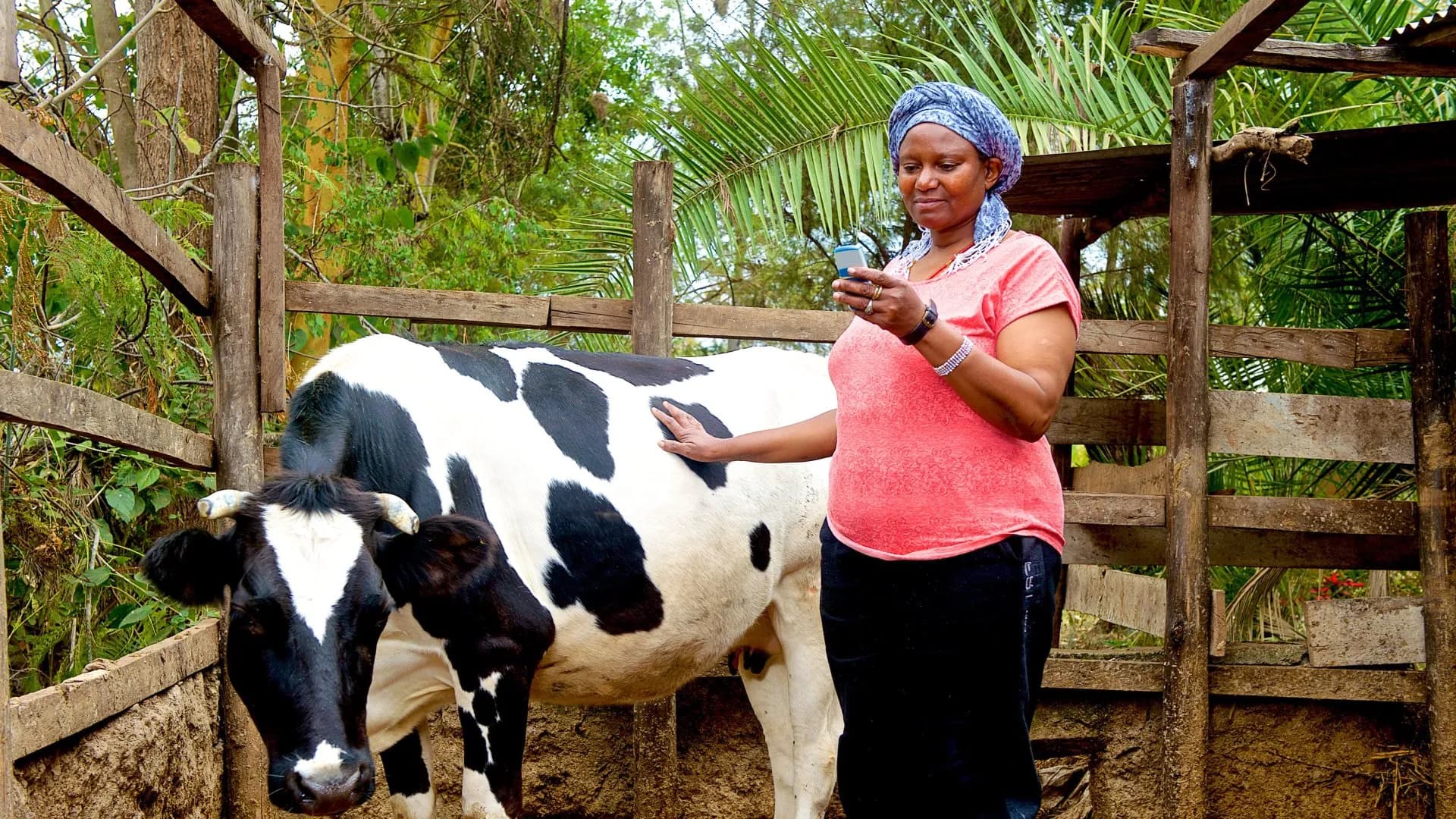 Farmer using VetAI